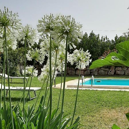 B&B Masseria Sant'Angelo Antonelli Ngoại thất bức ảnh