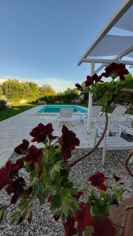 B&B Masseria Sant'Angelo Antonelli Ngoại thất bức ảnh