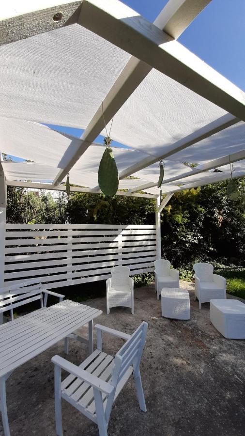 B&B Masseria Sant'Angelo Antonelli Ngoại thất bức ảnh