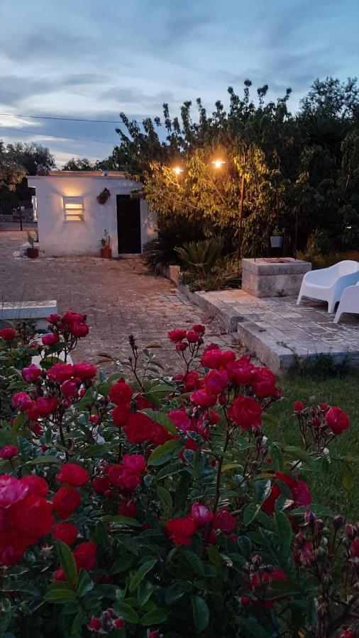 B&B Masseria Sant'Angelo Antonelli Ngoại thất bức ảnh