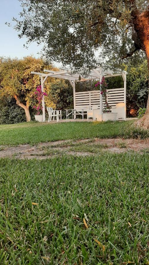 B&B Masseria Sant'Angelo Antonelli Ngoại thất bức ảnh