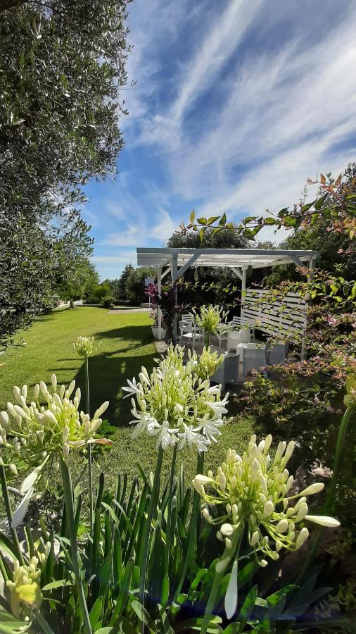 B&B Masseria Sant'Angelo Antonelli Ngoại thất bức ảnh