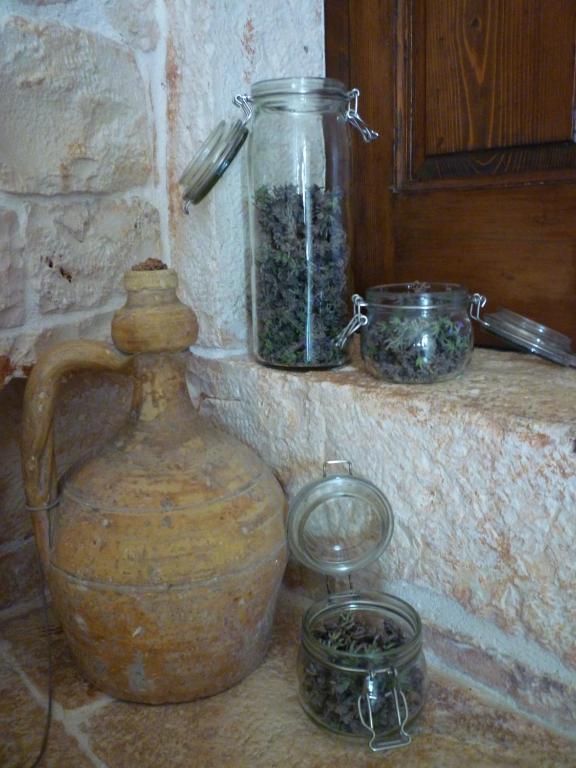 B&B Masseria Sant'Angelo Antonelli Ngoại thất bức ảnh